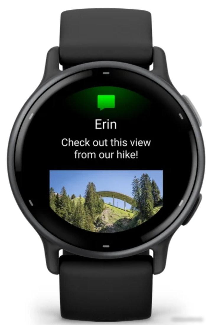 Умные часы Garmin Vivoactive 5 (черный)