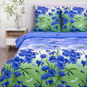 2-спальный комплект постельного белья Василиса Delight 2сп 70x70 3422/1