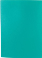 Папка для бумаг Lite NP0145-20BG с файлами
