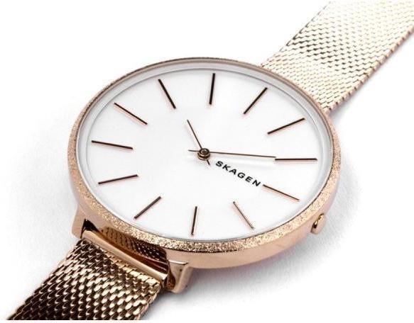 Наручные часы Skagen SKW2726