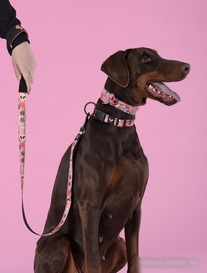 Поводок United Pets Complete Me 2 (S, forever)