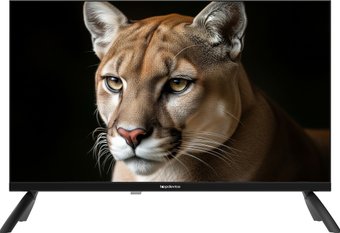 Телевизор Topdevice 24" TDWC24BH1000I