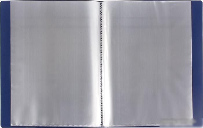 Папка для бумаг BRAUBERG 221603 (синий)