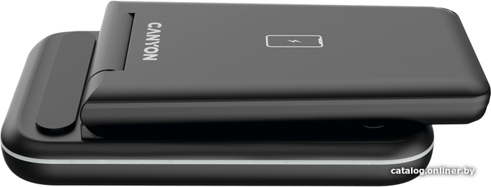 Беспроводное зарядное Canyon WS-304
