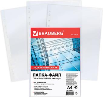 Набор файлов BRAUBERG 226831 (100 шт)