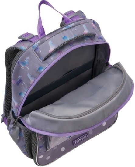 Рюкзак Erich Krause ErgoLine 15L Dream Unicorn 48501