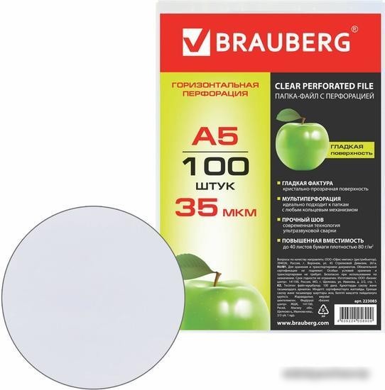 Набор файлов BRAUBERG 223085 (100 шт)