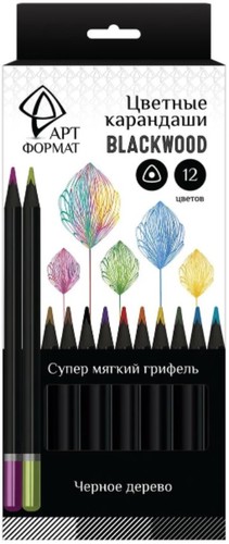 Набор цветных карандашей АртФормат AF03-051-12