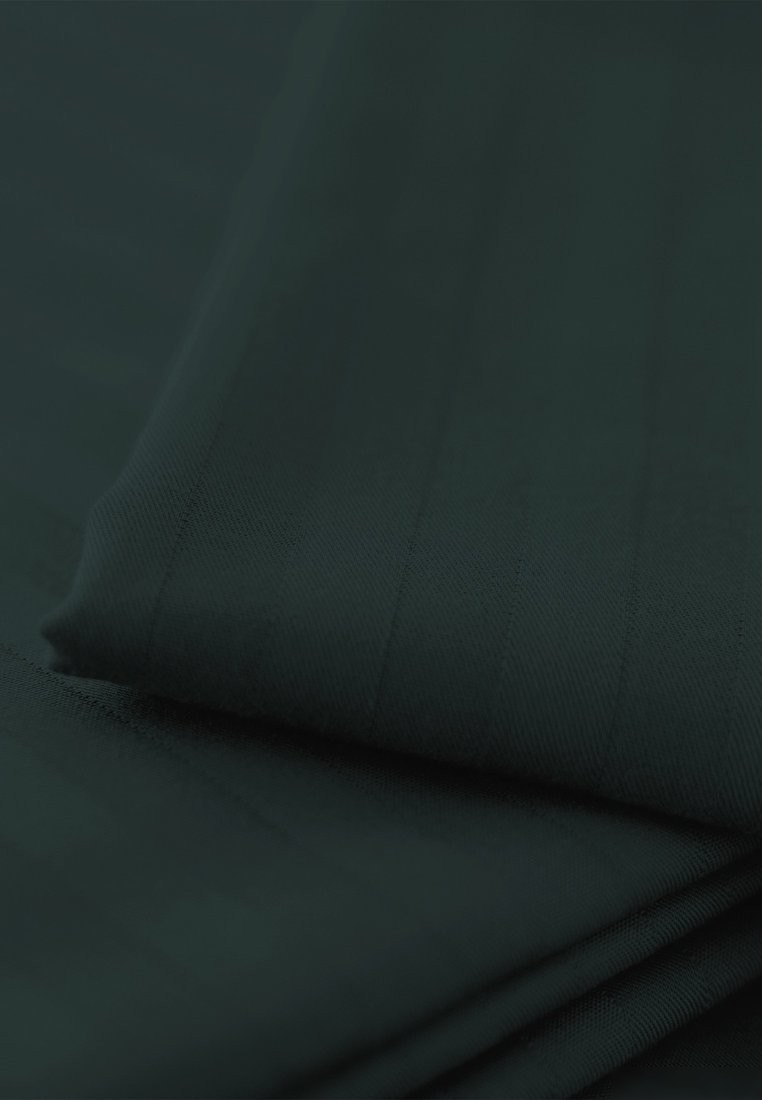 Постельное белье Verossa Stripe Dark green VRT 180/215М 70274 ST13 01