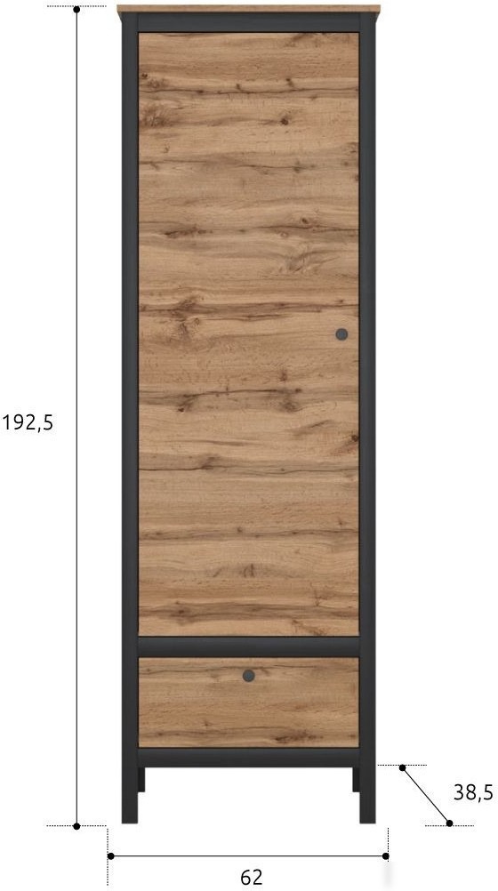 Шкаф распашной BRW Loft REG1D1S (дуб вотан/черный)