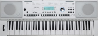 Синтезатор Kurzweil KP110 (белый)