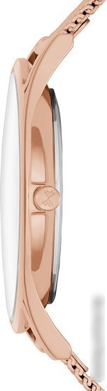 Наручные часы Skagen SKW2378