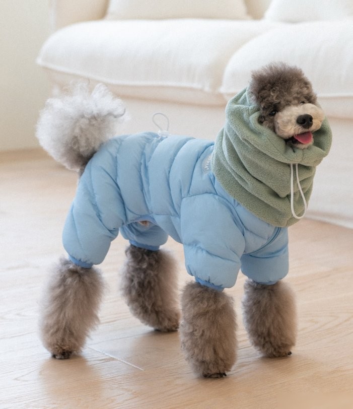 Комбинезон для животных Puppia Snood padding PAYD-JP2158-SB-M (голубой)