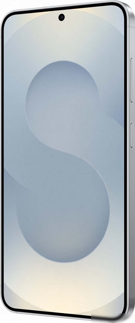 Телефон Samsung Galaxy S25 SM-S931B 12GB/256GB (серый)