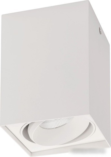 Точечный светильник Arlight SP-CUBUS-S100x100-11W Day4000 023078(2)