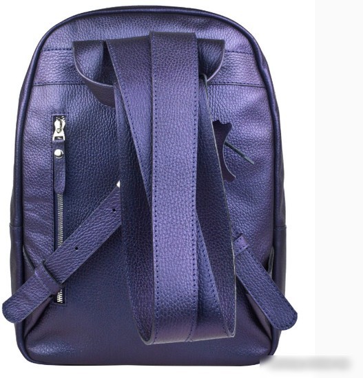 Городской рюкзак Carlo Gattini Premium Albiate 3103-56 (индиго)