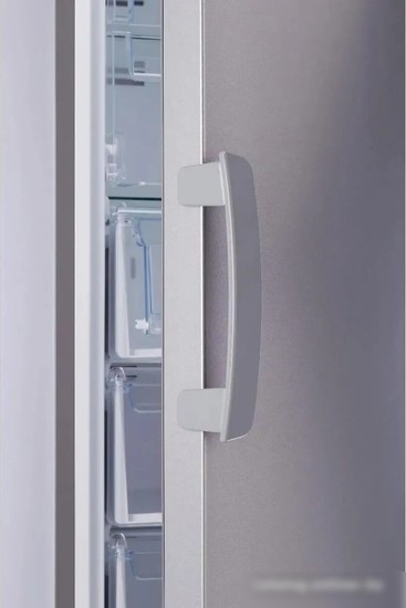 Морозильник Indesit DFZ 5175 G