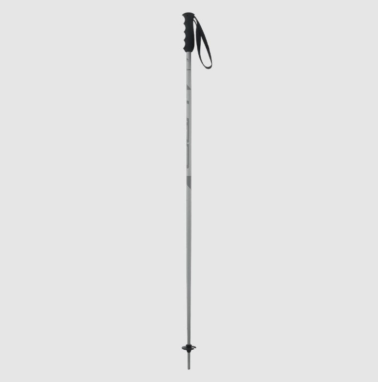 Лыжные палки Elan Speedrod 2024-2025 CD531524-110 (р.110, серый)