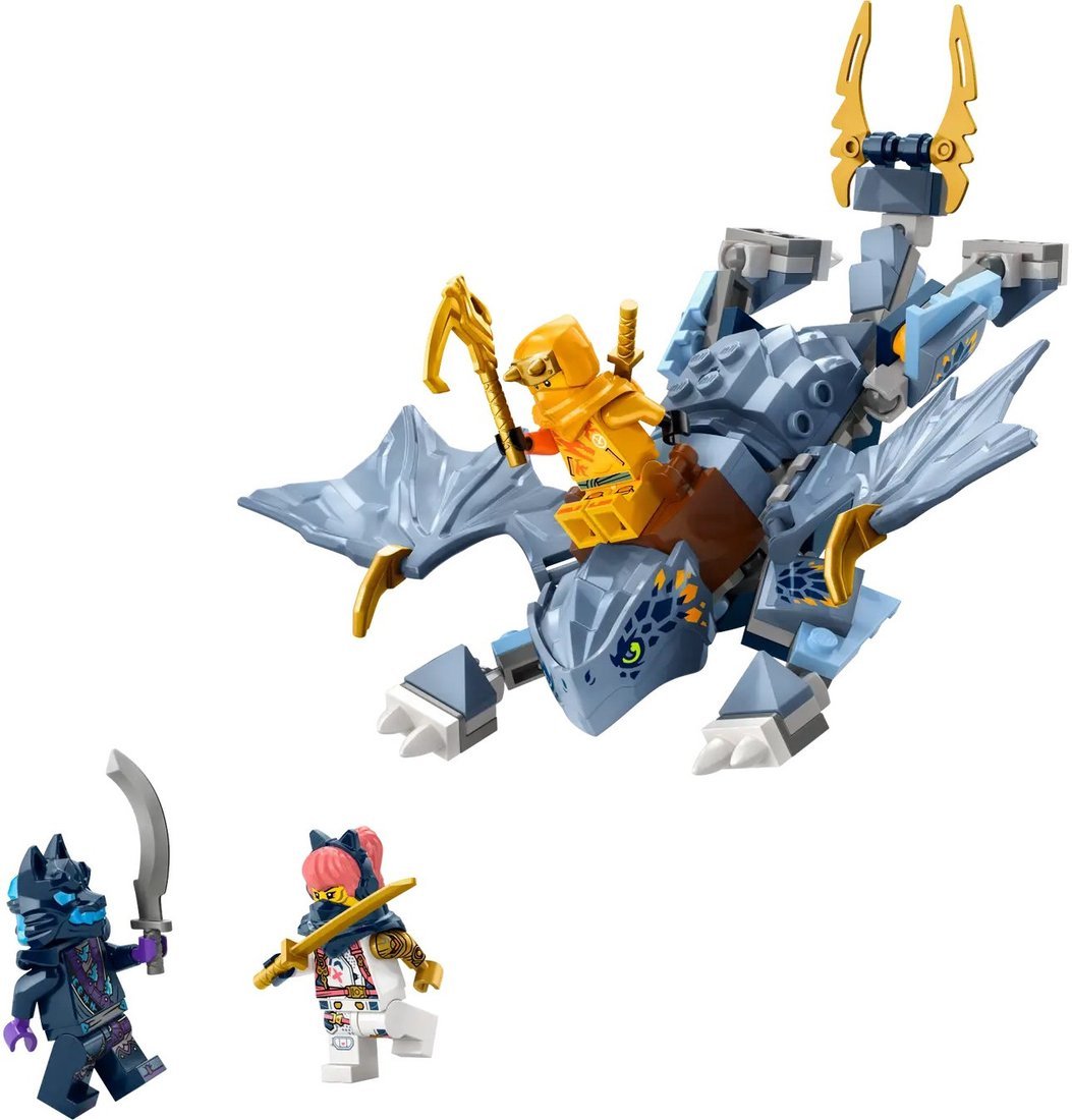 Конструктор LEGO Ninjago Молодой дракон Рию 71810