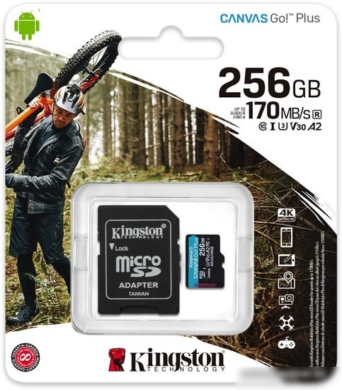 Карта памяти Kingston Canvas Go! Plus microSDXC 256GB (с адаптером)