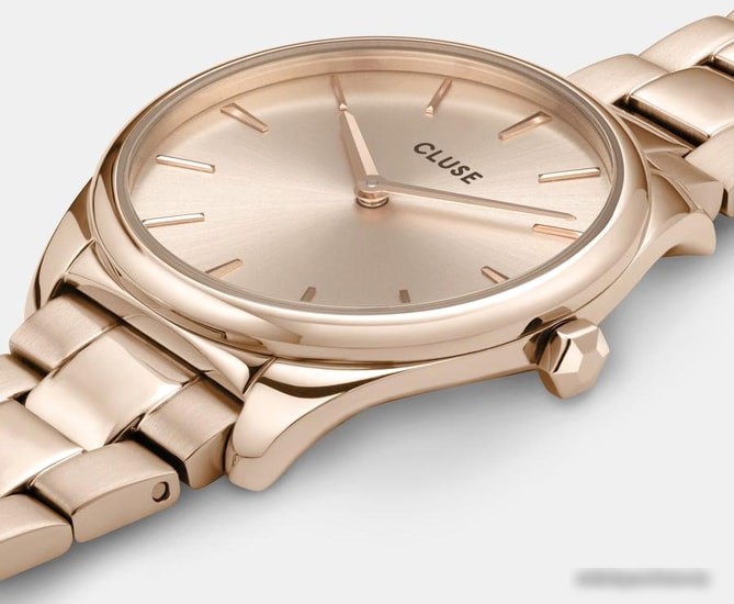 Наручные часы Cluse Feroce CW11201