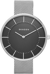 Наручные часы Skagen SKW2561
