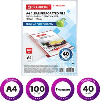 Набор файлов BRAUBERG STANDARD 229661 (100 шт)