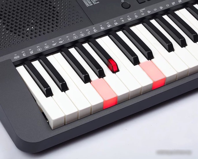Синтезатор Medeli M221L