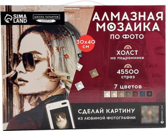Алмазная мозаика Школа талантов Vintage 10699407