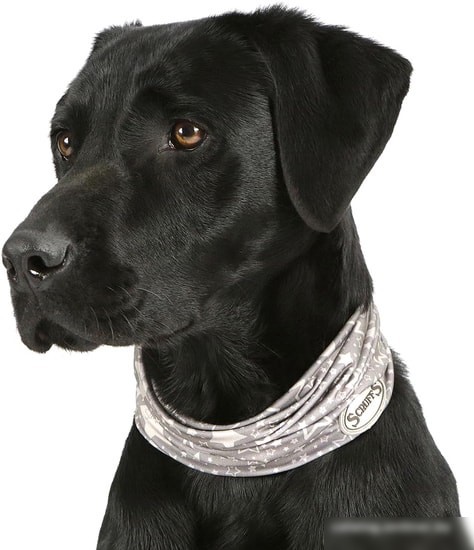 Шлейка Scruffs Insect Shield Dog Snood 937119 (серый)