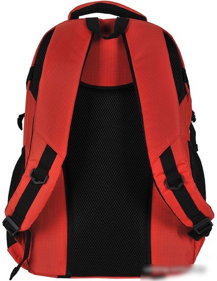 Городской рюкзак Paso 22-30060OG
