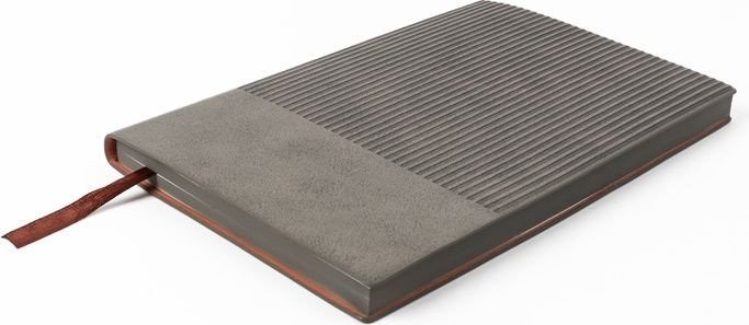 Ежедневник Darvish DV-14803C