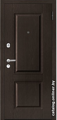 Металлическая дверь Металюкс М434/11 (87x205)
