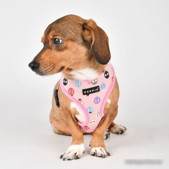 Шлейка-жилетка Puppia Lady Beetle-A PAWA-HA1957-PK-L (розовый)