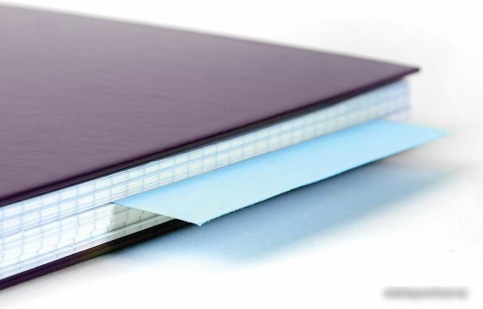 Разделитель документов BRAUBERG 223973 (синий)
