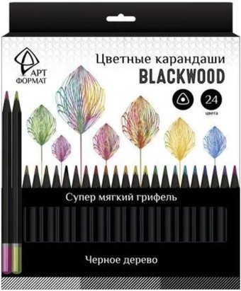 Набор цветных карандашей АртФормат AF03-051-24