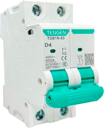 Выключатель автоматический Tengen TGB1N-63 2P 4A D 6kA 2M TGB1N-63-2-04D