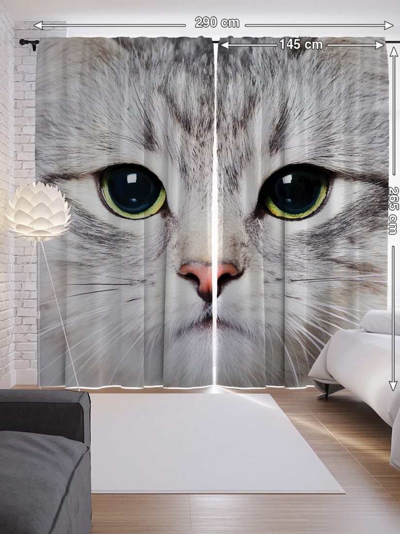 JoyArty Суровый котик p_2736