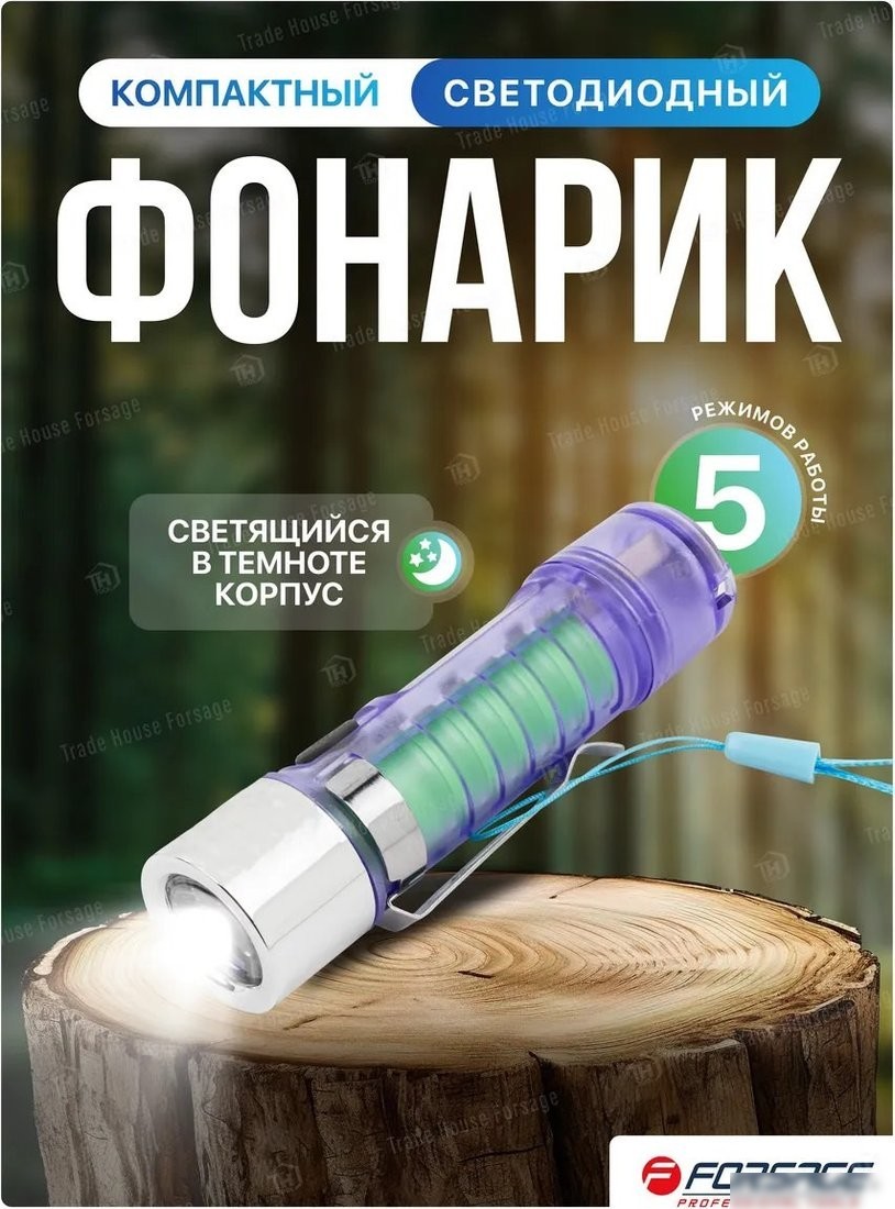 Фонарь FORSAGE F-CAM590 (60097)