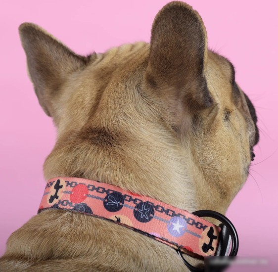 Ошейник United Pets Complete Me Forever Collar (L)