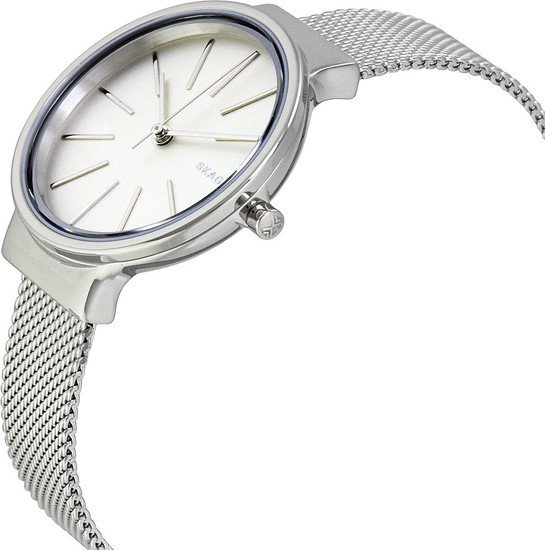 Наручные часы Skagen SKW2478