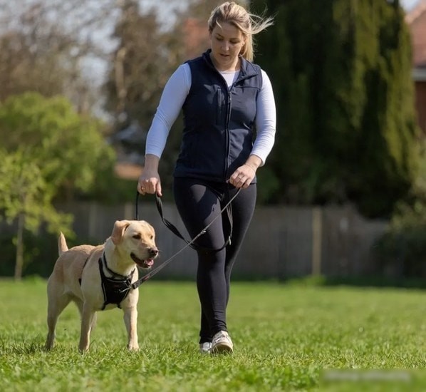Поводок Halti Training Lead 14140A (красный)