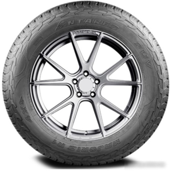 Летние шины Antares Majoris R1 295/45R20 114W