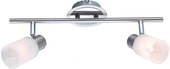 Точечный светильник Arte Lamp Cavaletta A4510PL-2SS