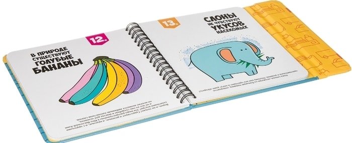 Развивающая игра Bondibon Верю - не верю ВВ3361