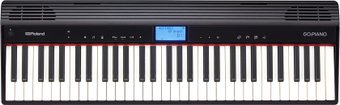Цифровое пианино Roland Go:Piano GO-61P