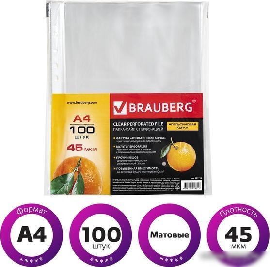Набор файлов BRAUBERG 221713 (100 шт)