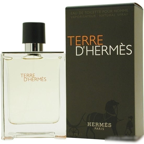 Hermes Terre d'Hermes EdT (100 мл)