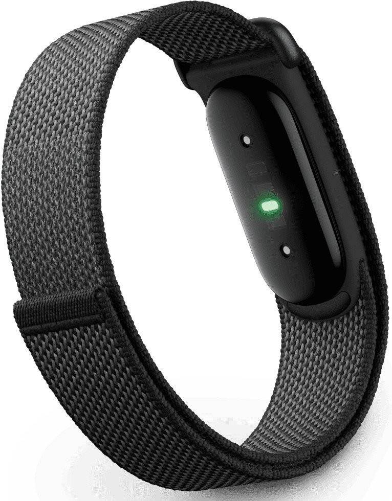 Фитнес-браслет Google Fitbit Air (обсидиан)
