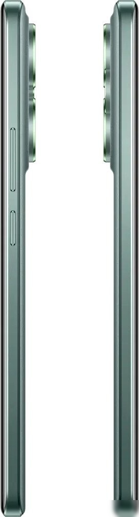 Телефон Realme 15 Pro 5G RMX5101 12GB/512GB международная версия (зеленый)
